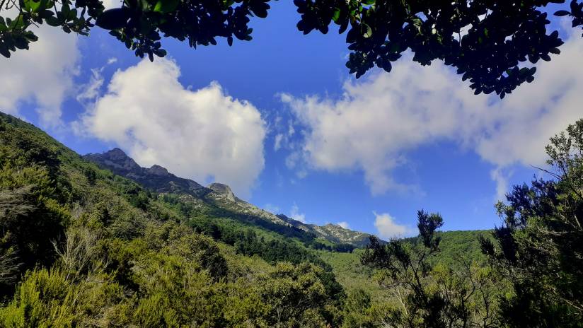 4. I Sentieri dell’Elba: Trekking Vista Mare per Tutti i Livelli